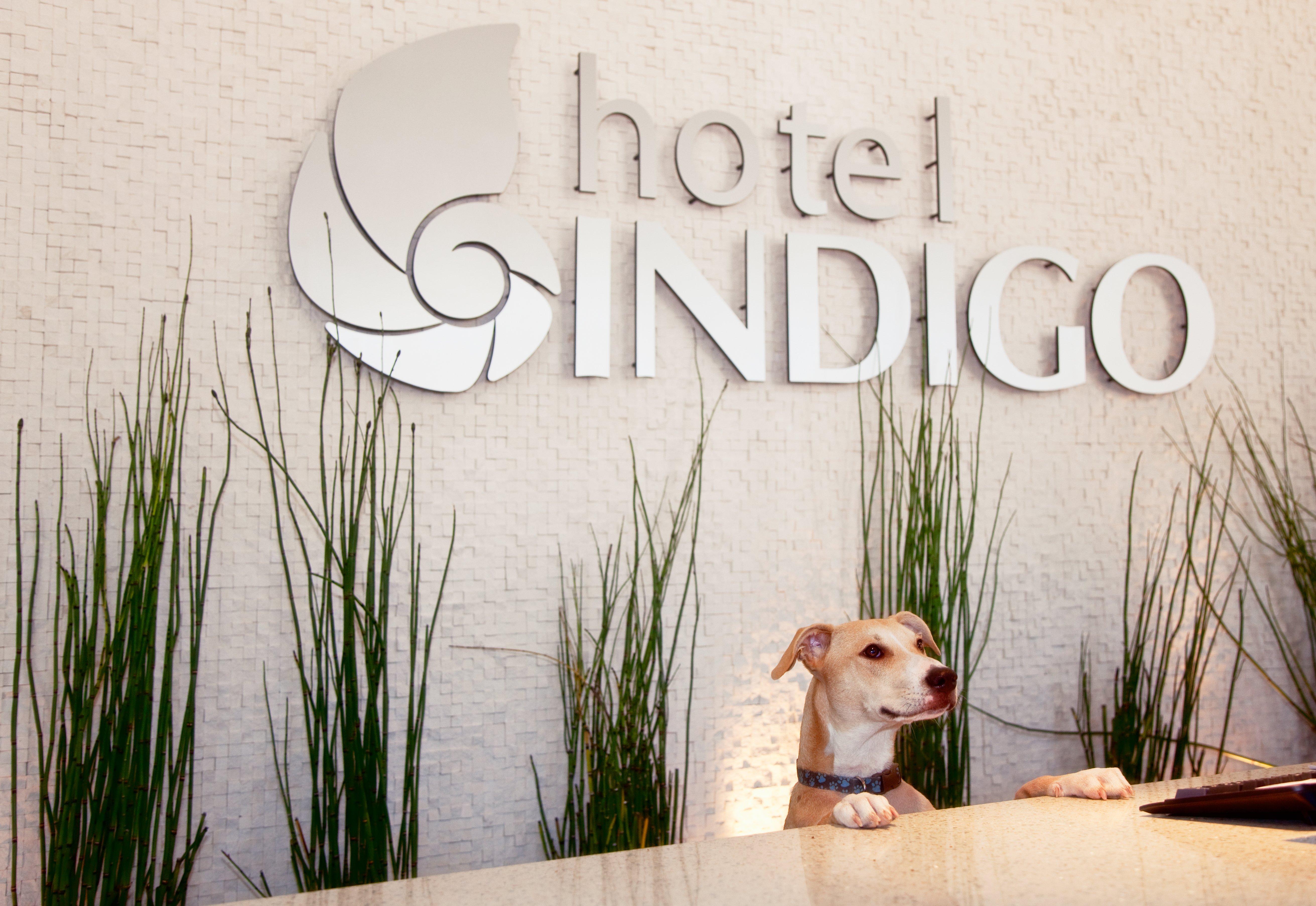 Hotel Indigo San Diego - Gaslamp Quarter By Ihg Exterior foto